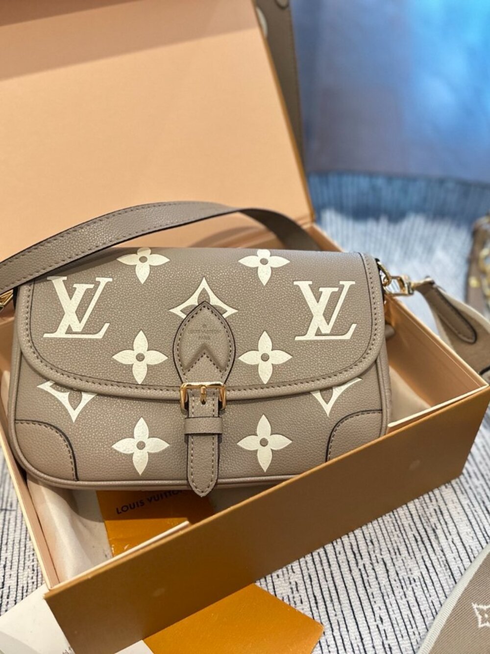 Louis Vuitton New LV bag